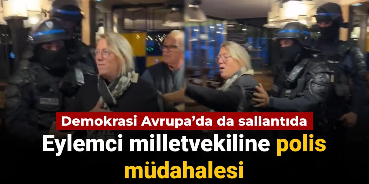 demokrasi avrupada da sallantida eylemci milletvekiline polis mudahalesi hZgsTCfx