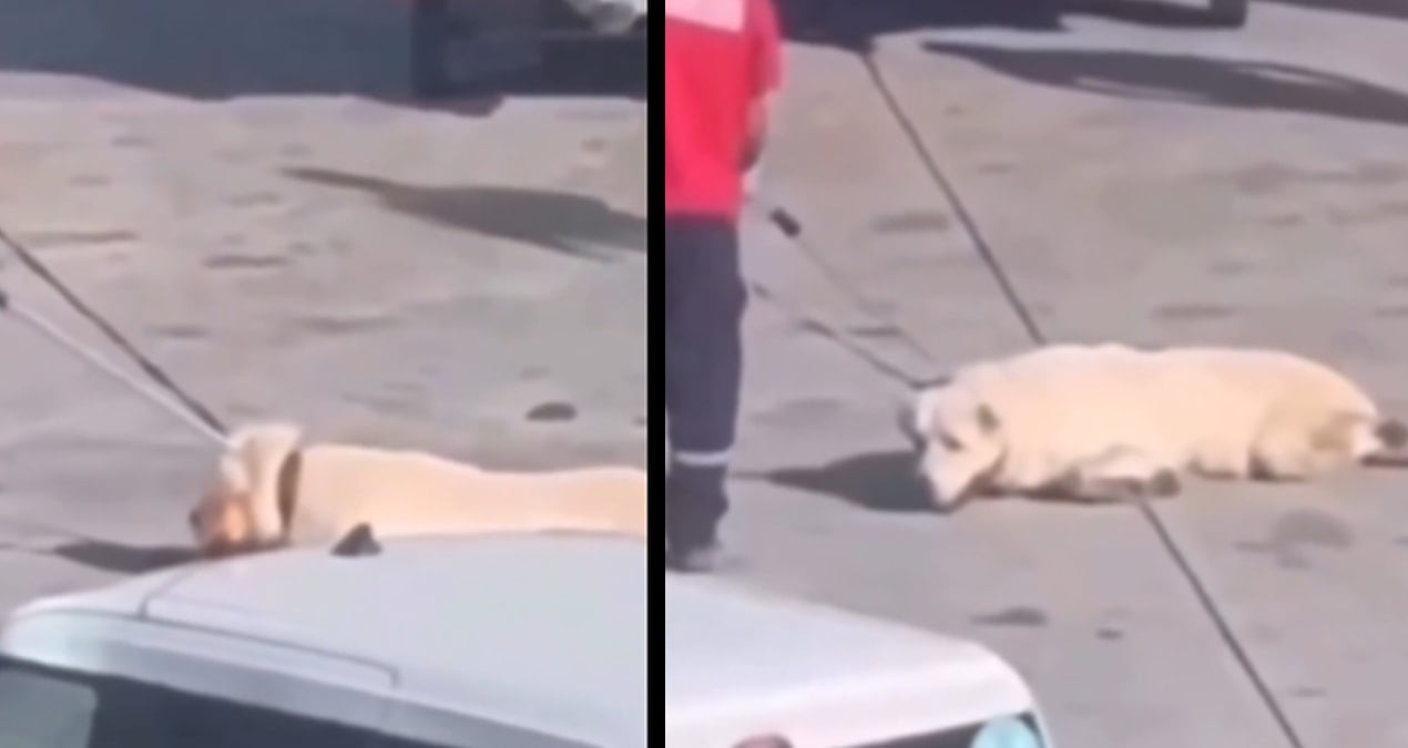 havalimanindaki skandal goruntu sonrasi igadanaciklama MfOg8ET2