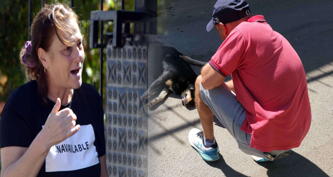 mahalle yaris pistine dondu olan canlara oldu QQtVYJxg