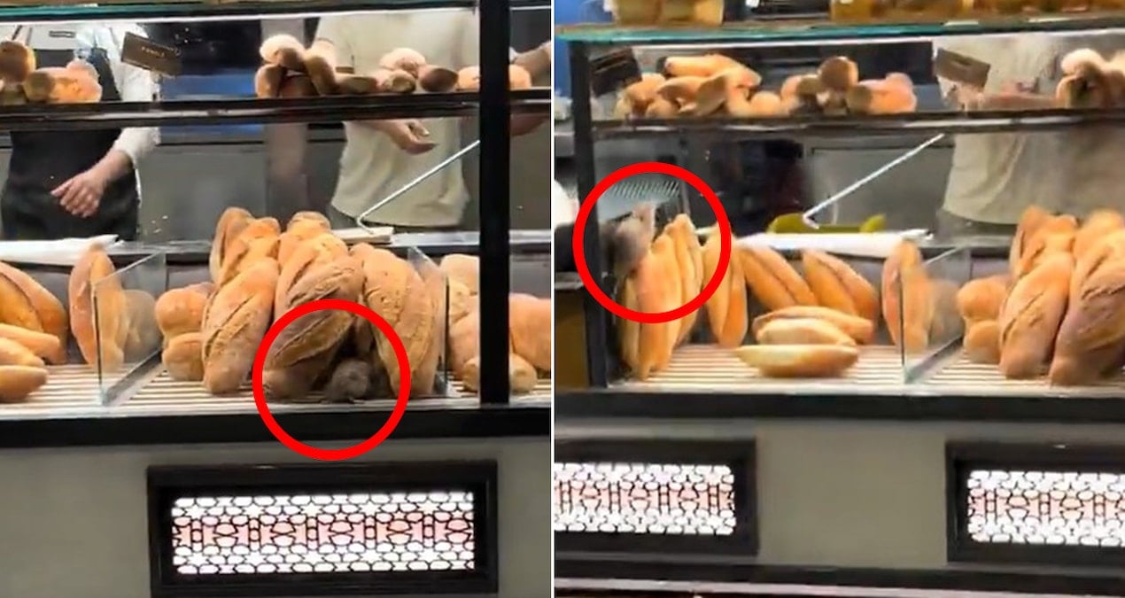 firinda cekilen bu goruntuyu paylasmamasi icin 420 bin lira teklif edildi yOP5BPEF.jpg